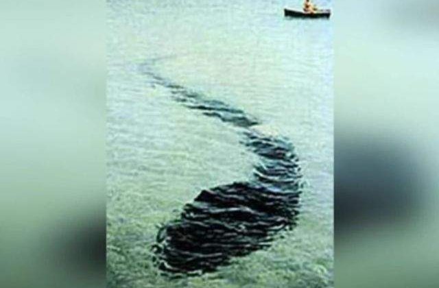 Invaluite in mister! Aparitii ENIGMATICE care nu pot fi explicate