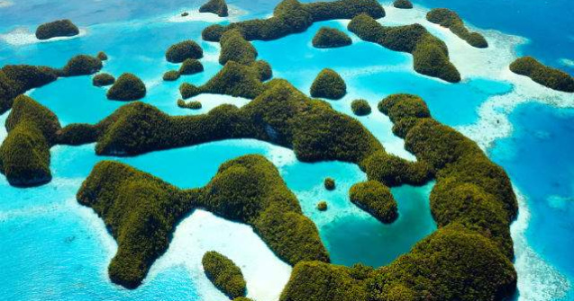 Palau va crea un sanctuar marin de doua ori mai mare decat Mexic