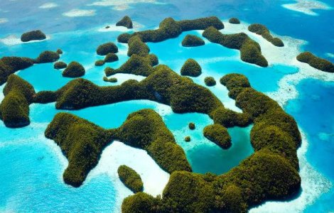 Palau va crea un sanctuar marin de doua ori mai mare decat Mexic