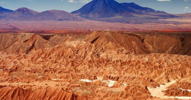 Ce se intampla atunci cand ploua in cel mai arid loc de pe Pamant