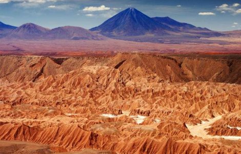Ce se intampla atunci cand ploua in cel mai arid loc de pe Pamant
