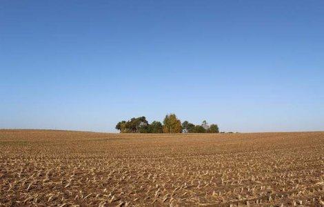 Constantin: Scutiri de impozite pentru fermieri, prin cooperative