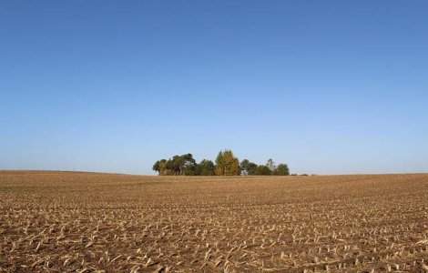 Constantin: Scutiri de impozite pentru fermieri, prin cooperative