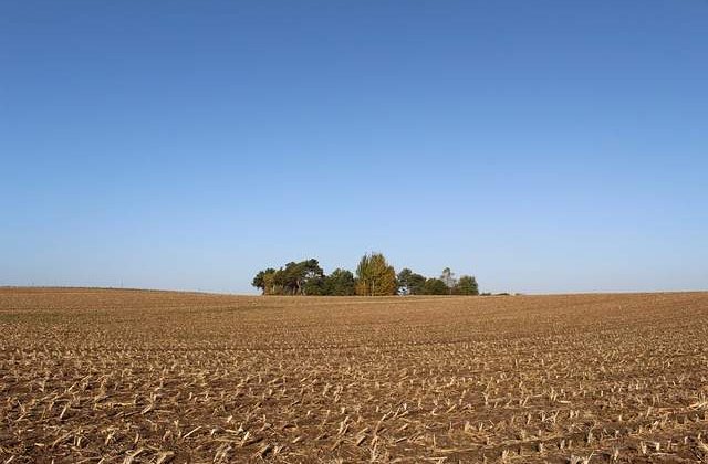 Constantin: Scutiri de impozite pentru fermieri, prin cooperative