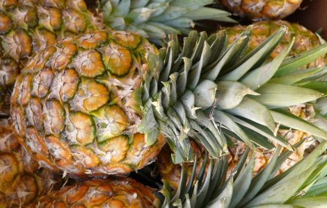  Top  Efectele secundare ale consumului de ananas