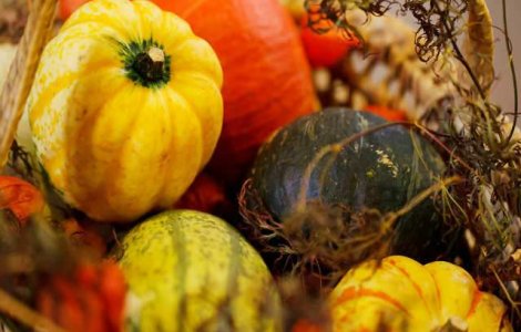 Agricultura romaneasca a inghetat timp de 20 de ani, dar se dezgheata in aceasta toamna. Care este rolul tau