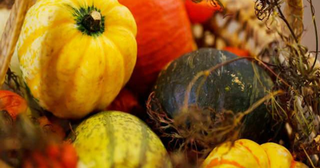 Agricultura romaneasca a inghetat timp de 20 de ani, dar se dezgheata in aceasta toamna. Care este rolul tau