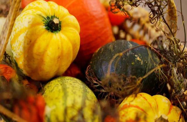 Agricultura romaneasca a inghetat timp de 20 de ani, dar se dezgheata in aceasta toamna. Care este rolul tau