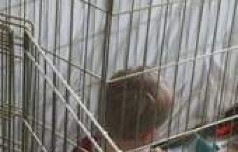 Copilul-pasare, crescut de propria mama intr-o colivie