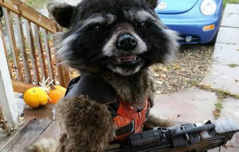 Acest costum de Halloween a cucerit intreg Internetul