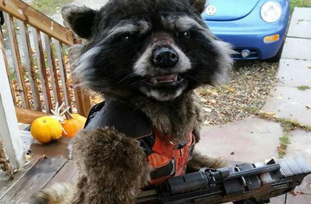 [VIDEO] Acest costum de Halloween a cucerit intreg Internetul