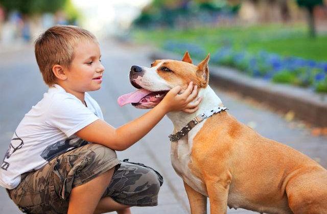 [VIDEO] Copilul pleaca la scoala. Uite ce reactie emotionanta are cainele