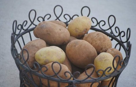  Top  Simplu si gustos: 10 variante ultrarapide de a gati cartofii