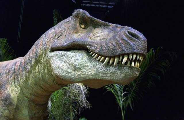 Studiu: Disparitia dinozaurilor, cauzata de materia intunecata din Univers