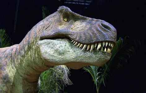 Disparitia dinozaurilor, cauzata de materia intunecata din Univers