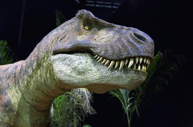Studiu: Disparitia dinozaurilor, cauzata de materia intunecata din Univers