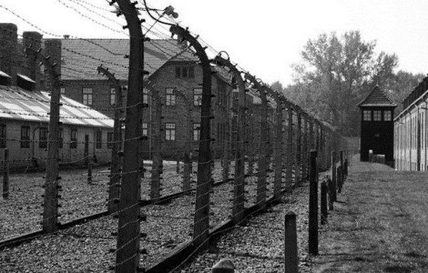  Top  Simbolul terorii! Adevaruri incredibile despre Auschwitz