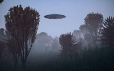 FOTO  Creatura bizara...