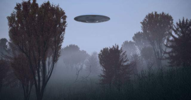 Creatura bizara, in California. Internautii cred ca este extraterestru