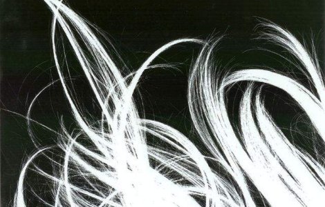  Top  Are calitati uluitoare! Ce se facea cu parul uman in trecut