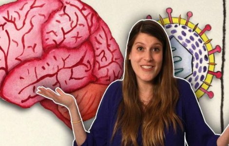  Video  Ce se intampla in creierul tau atunci cand suferi de herpes