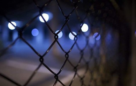 Jobbik: Trebuie construit un gard pe toata lungimea frontierei ungare cu Romania