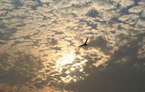  Top  Surse de inspiratie! Lectii de viata valoroase, in citate din filme