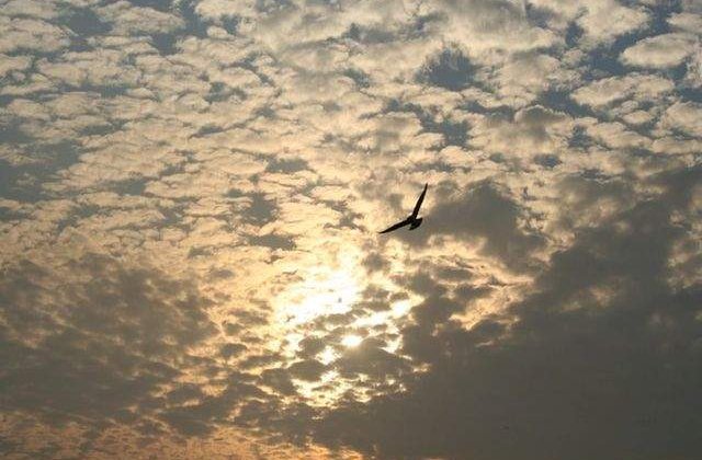 Surse de inspiratie! Lectii de viata valoroase, in citate marcante din filme