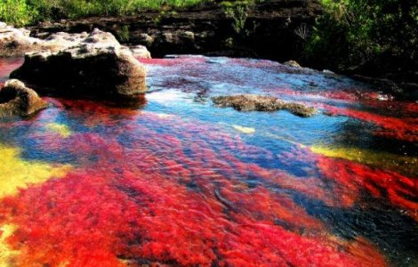 Raul Curcubeu - un colt de Paradis uitat pe Pamant