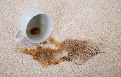  Top  Stiai? Cum poti scapa RAPID de petele de cafea