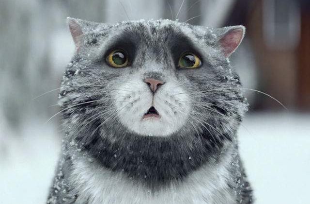 [VIDEO] Probabil cel mai frumos clip de Craciun vazut vreodata