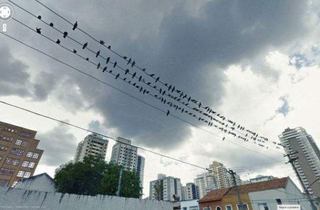 Google Street View: Cele mai ciudate poze facute la momentul potrivit