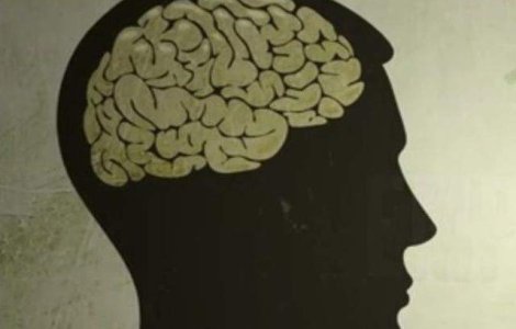  Top  Teorii despre cum biologia creeaza un criminal