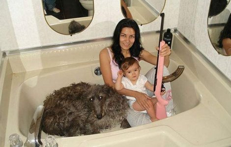  Top  Facute sa starneasca rasul! 13 Momente ciudate, in poze hilare