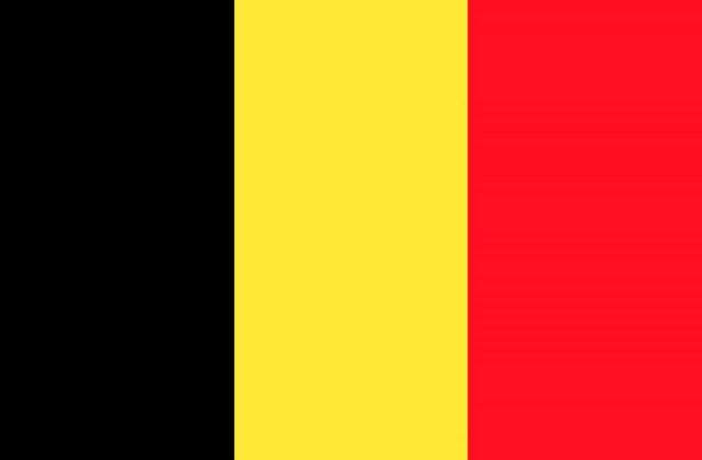 Nivel maxim de alerta in regiunea Bruxelles pana saptamana viitoare