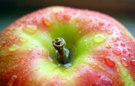  Top  Top 10 cele mai bune surse de carbohidrati pentru diabetici