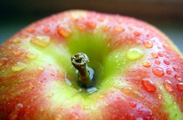 Alegeri alimentare ideale! Cele mai bune surse de carbohidrati pentru diabetici