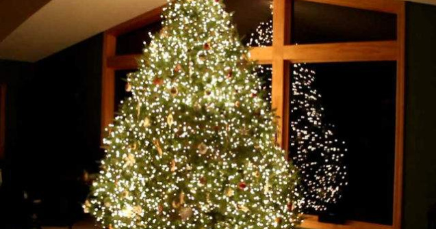 Arata ca un brad obisnuit. Uite ce se intampla cand se sting luminile