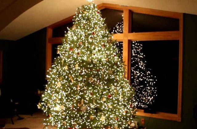 [VIDEO] Arata ca un brad de Craciun obisnuit. Ce se intampla cand se sting luminile