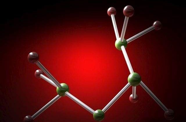 Crezi ca liliecii sunt orbi? Conceptii total ERONATE despre lumea inconjuratoare