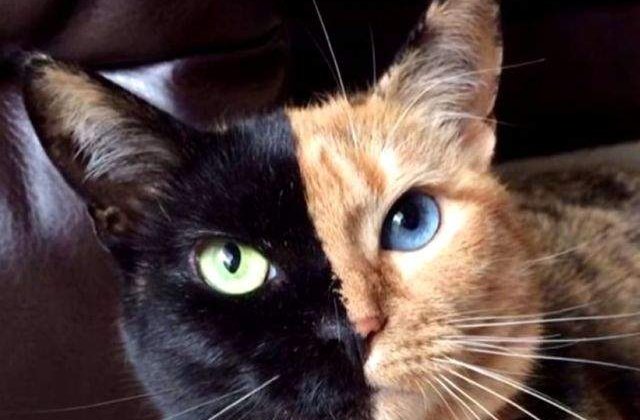 Iluzie optica sau realitate? 10+1 Fotografii fulminante