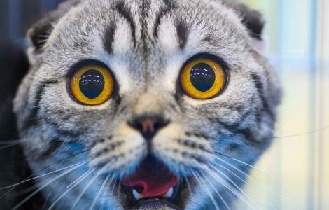  Top  Iti vine sa crezi? 10 statistici atat de bizare incat par inventate