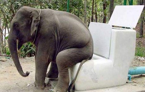  Top  Iti fac ziua mai buna! Aparitii bizare, in fotografii care starnesc rasul