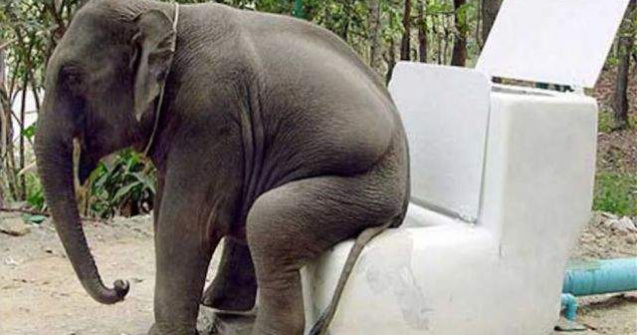  Top  Iti fac ziua mai buna! Aparitii bizare, in poze care starnesc rasul