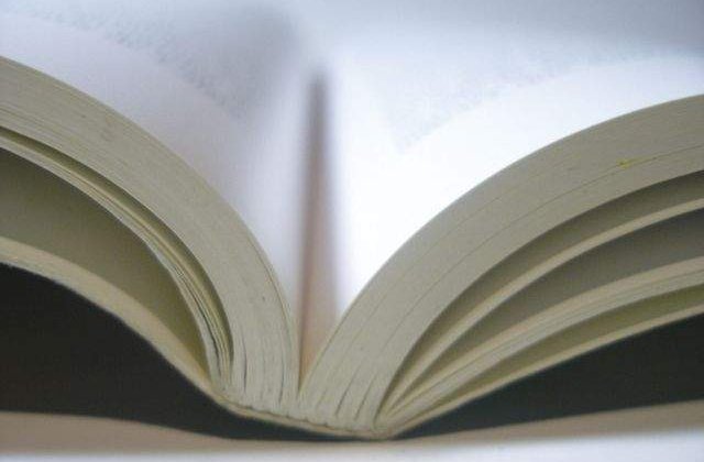 Consiliul National de Etica, ce analiza tezele de doctorat ale demnitarilor, va fi revocat