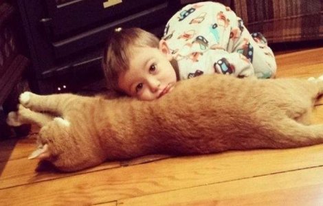  Foto  Prietenia neasteptata dintre un baietel si o pisica. Sunt de nedespartit!