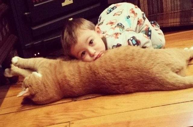 [FOTO] Prietenia neasteptata dintre un baietel si o pisica. Sunt de nedespartit!