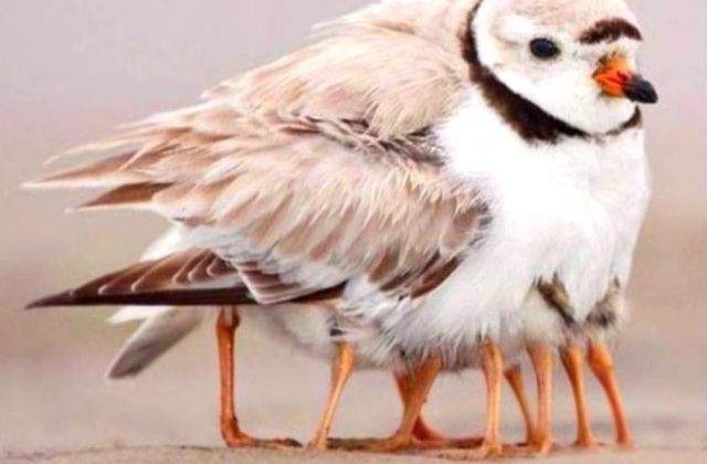 Test de concentrare! Realitate, arta sau fictiune?