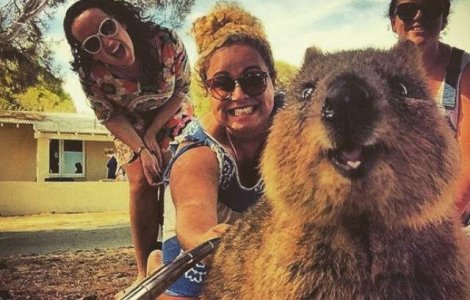  Top  Care sunt cele mai tari 10 selfie-uri din 2015