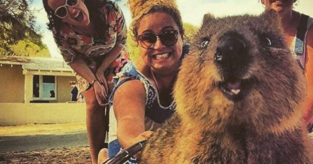  Top  Care sunt cele mai tari 10 selfie-uri din 2015